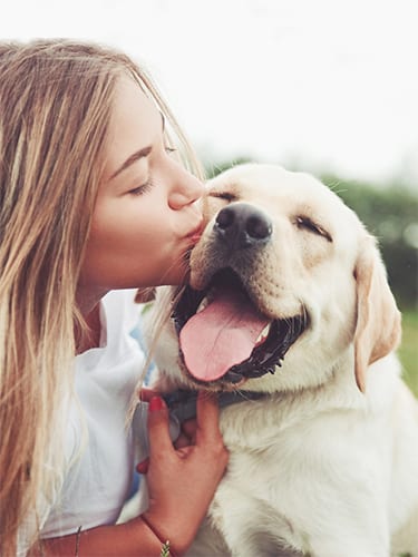 Frame with a beautiful girl with a beautiful dog in a park on green grass